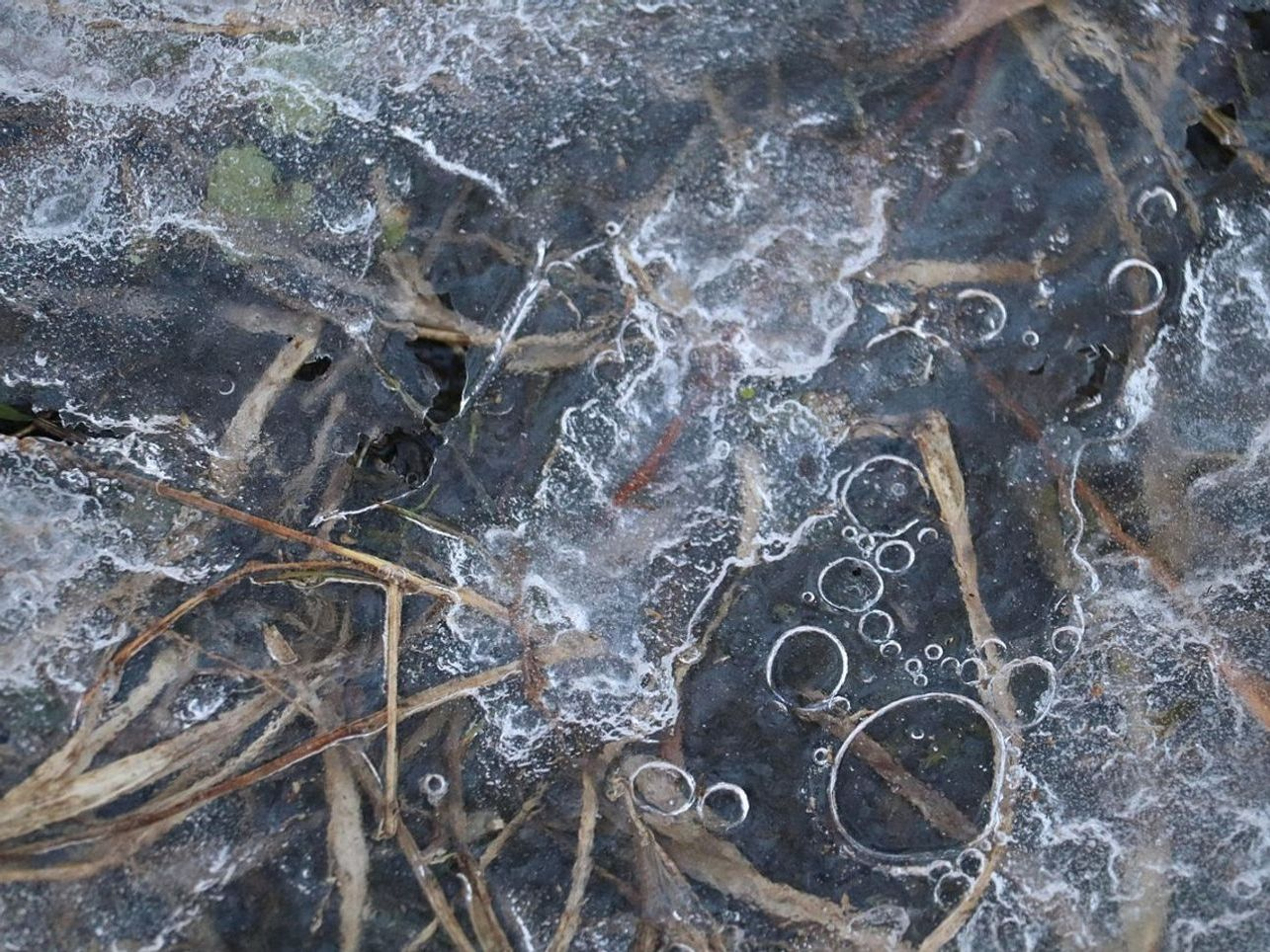 Un kit da escursione ordinato su una roccia piatta